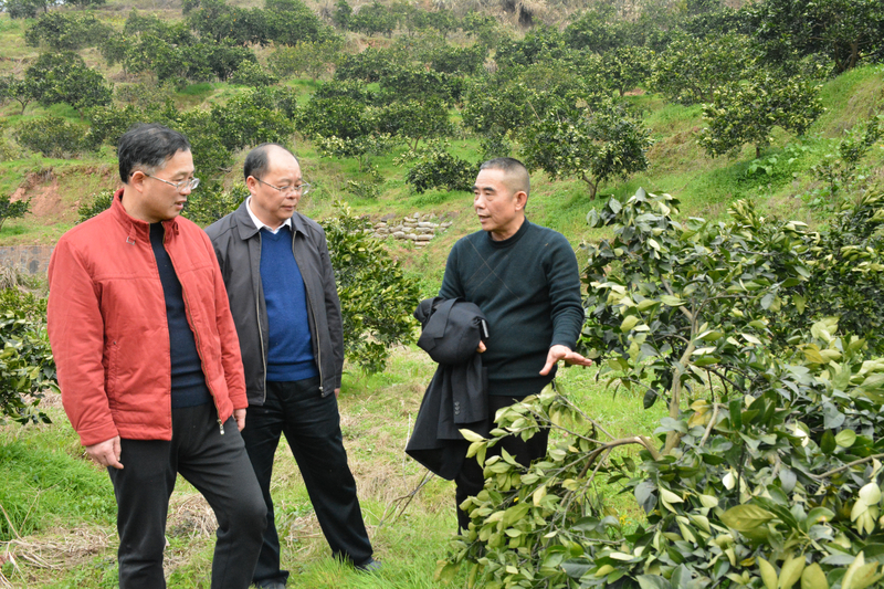 1646185434577058362.jpg DSC_4811 压缩.jpg