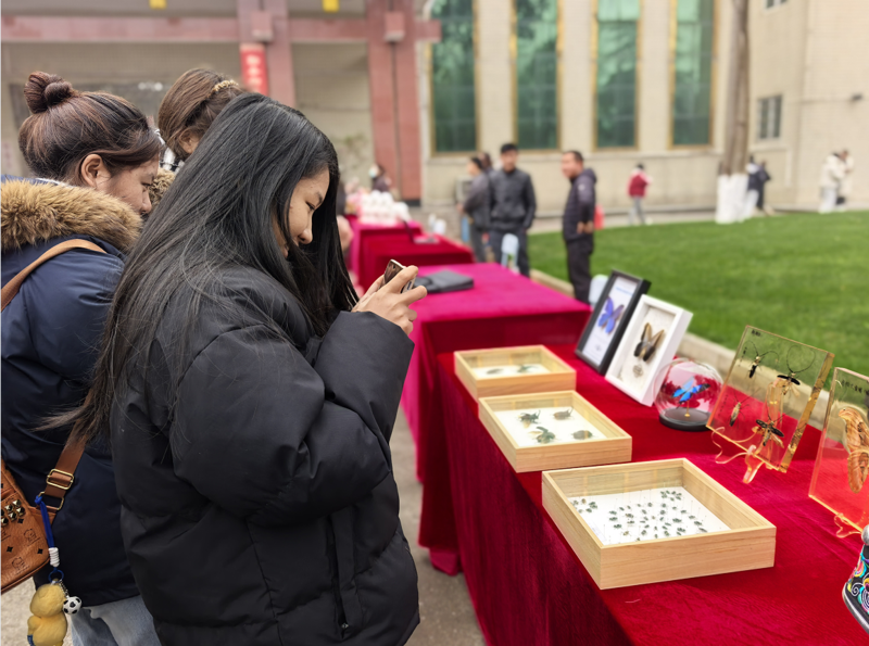 1768383169501054452.png 2.png