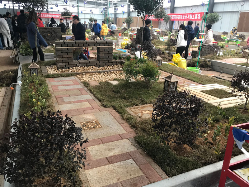 QQ图片20190102103949.jpg