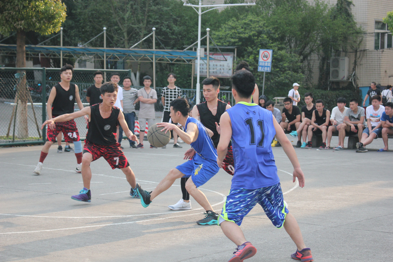 IMG_3995.jpg