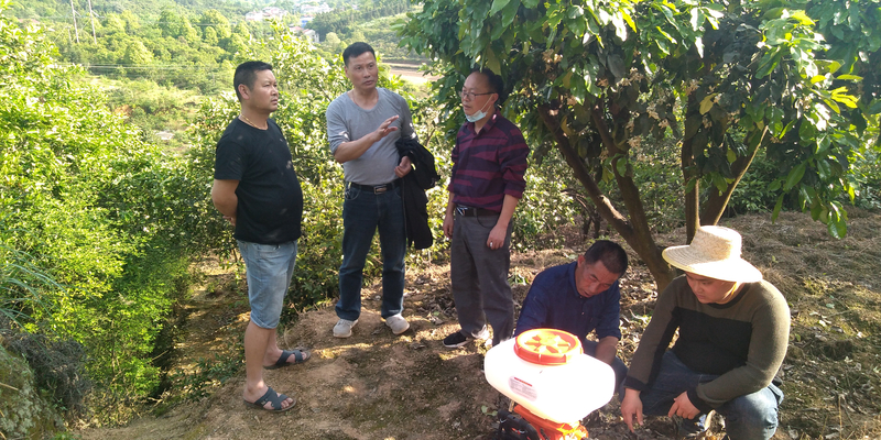 微信图片_20200502225535.jpg