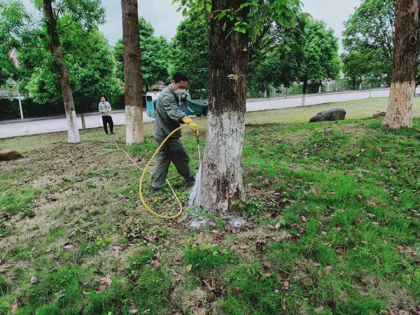 我院开展白蚁消杀工作