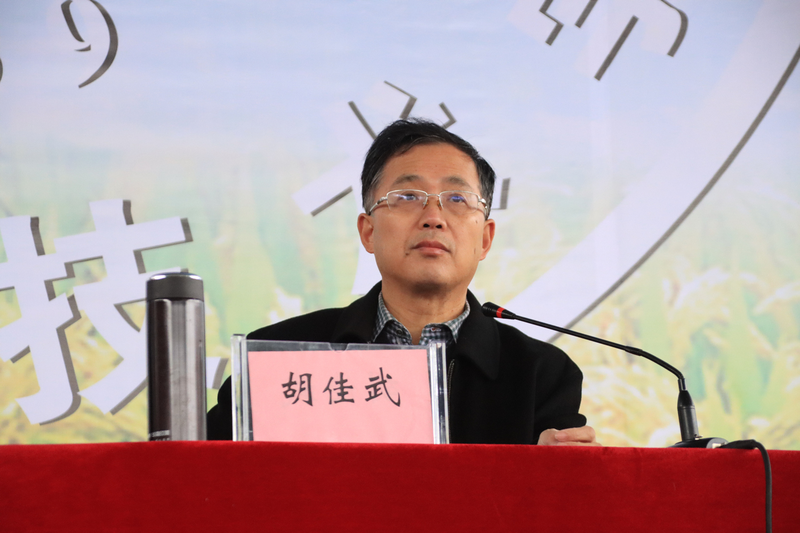 胡佳武.png