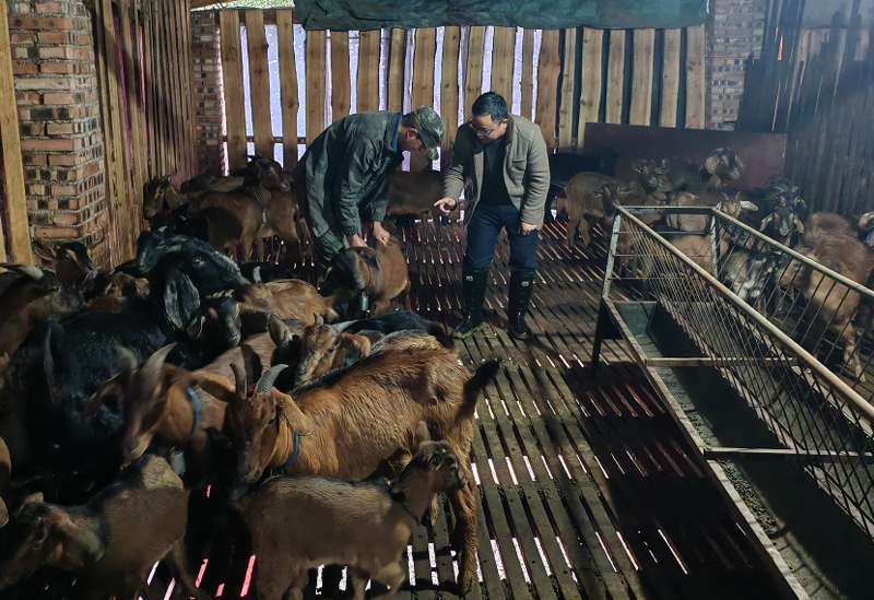 1774431890339045069.png 2.png